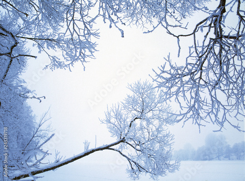 Hancza lake, suwalski landscape park, Poland photo