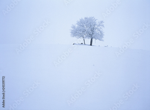 suwalski landscape park, Poland photo