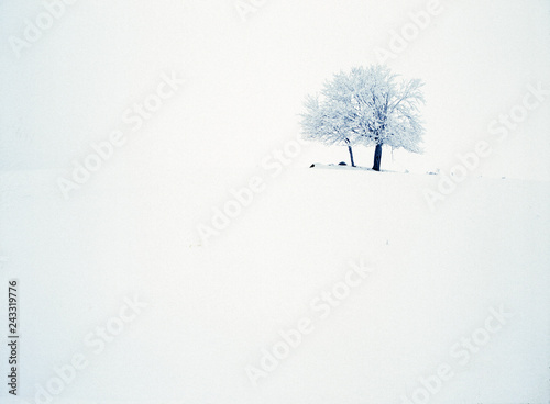 suwalski landscape park, Poland photo