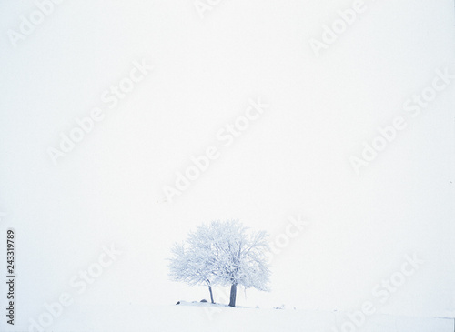 suwalski landscape park, Poland photo