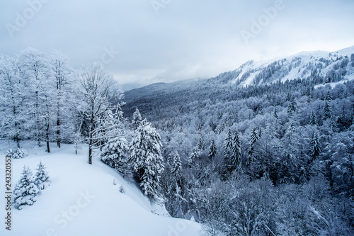 Panorama of the foggy winter landscape in the mountains. - Image © zorandim75