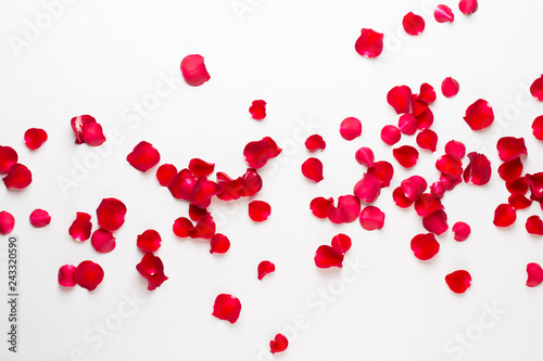 Valentine's Day. Rose flowers petals on white background. Valentines day background. Flat lay, top view, copy space.