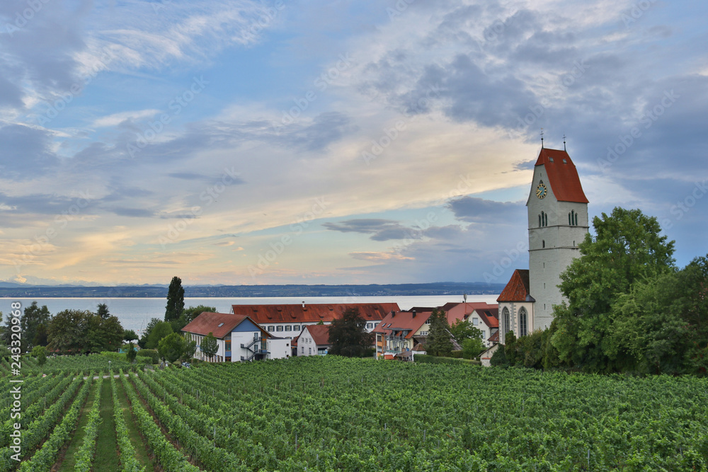Catholic Church St. Johann Baptist, Hagnau near a vineyard of the Bodensee lake Catholic Church St. Johann Baptist, Hagnau near a vineyard of the Bodensee lake