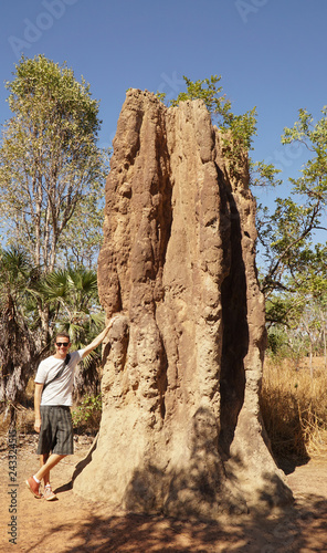 Magnetic Termite Mounds in Litchfield National Park, Australia. photo