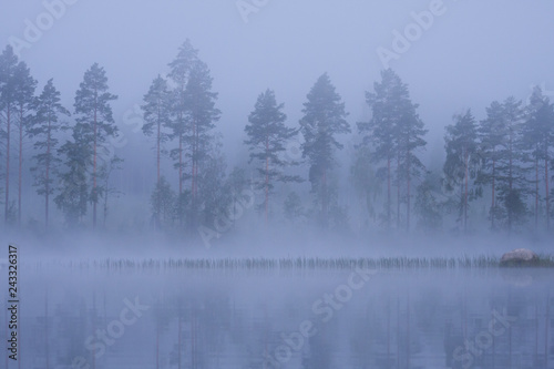 Foggy lake landscape in Finland at summer dawn