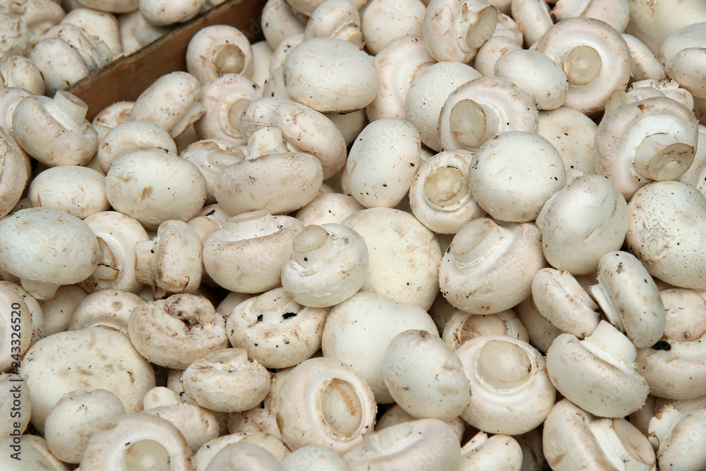Mushrooms . Organic produce on display at the Farmers Market Mushrooms . Organic produce on display at the Farmers Market