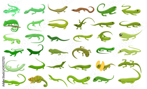 Lizard icons set. Cartoon set of lizard vector icons for web design