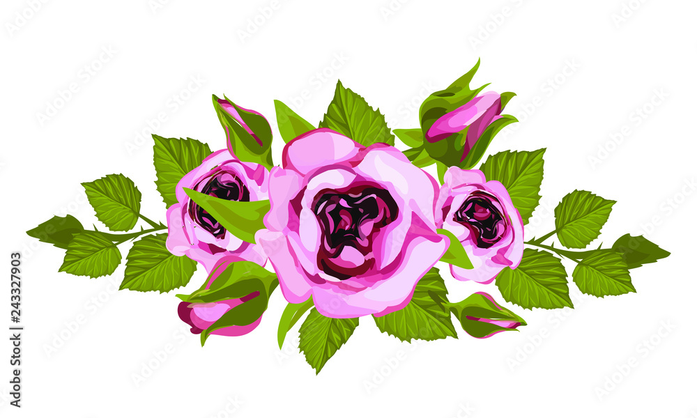 Tropical vector flowers and roses
