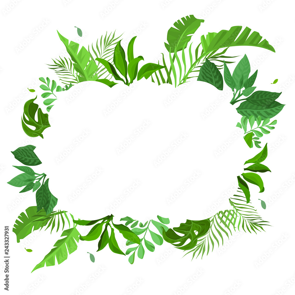 green forest fern