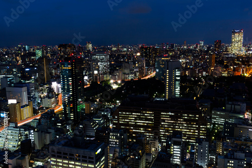 Tokyo city and skyline with night light