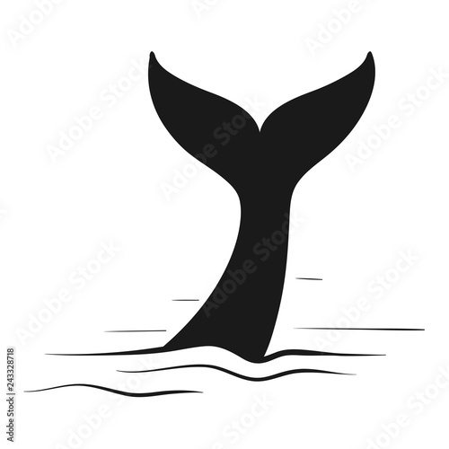 Whale tail scetch. Vector illustration