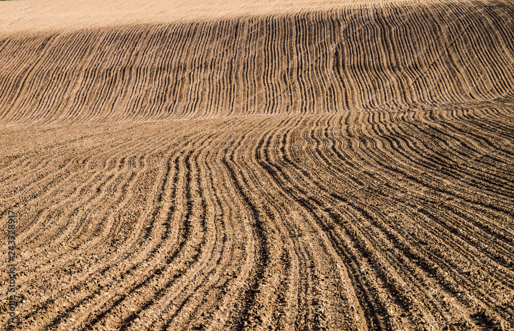 Plowed field on a hillside. Selective focus. Plowed field on a hillside. Selective focus.