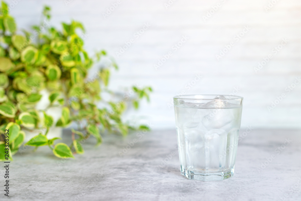 glass of cold water on table with green leaves background. glass of cold water on table with green leaves background.