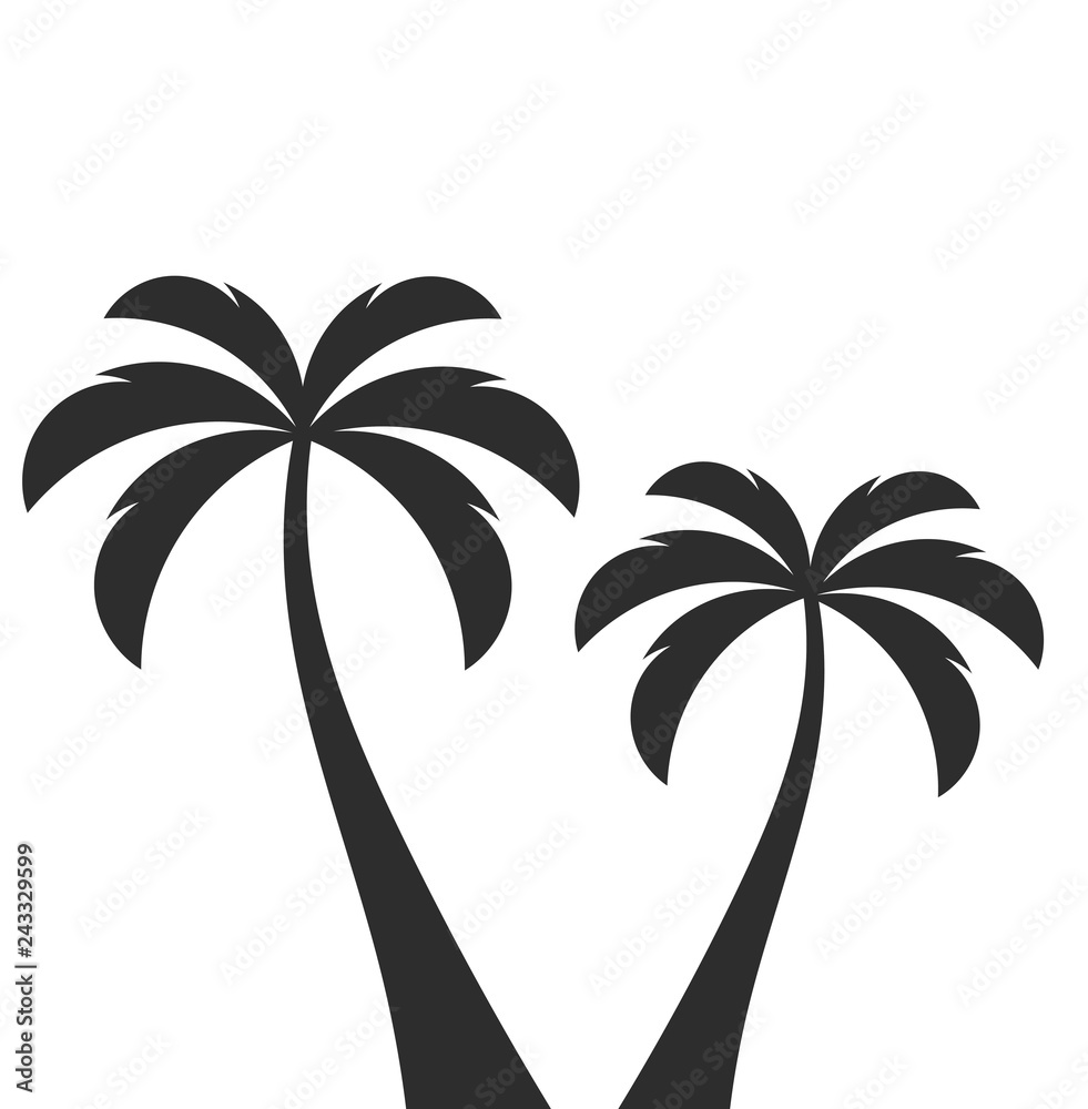 Fototapeta premium Two palm trees.