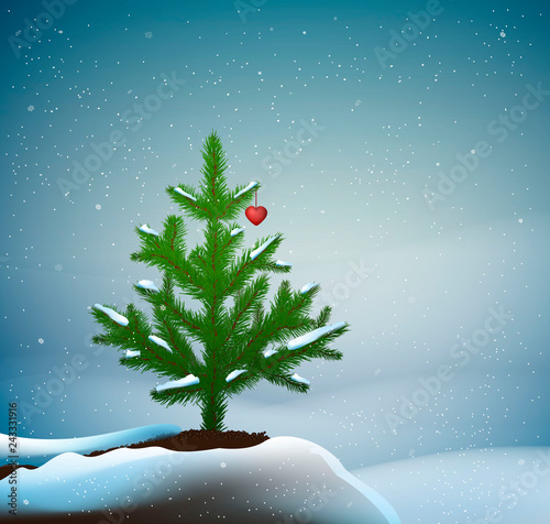 small Christmas trees or young fir tree growing on soil in winter snowing weather with red heart on the branch, love the tree,
