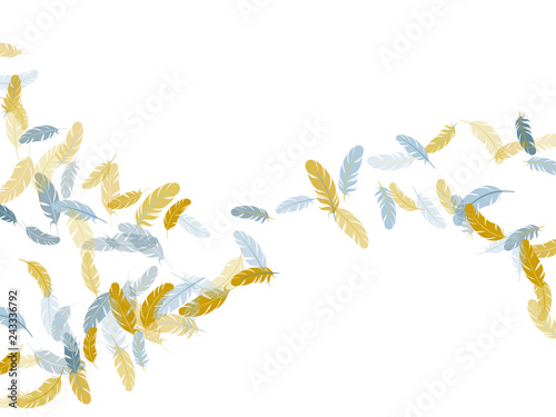 Flying feather elements airy vector design.
