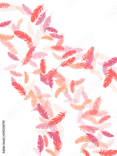 Detailed majestic feather on white design.