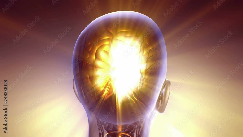 science anatomy scan of human brain glowing with yellow science anatomy scan of human brain glowing with yellow
