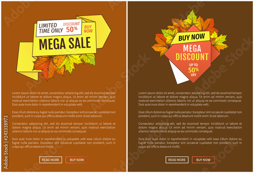 Mega Sale Autumn Half Price Advertising Poster
