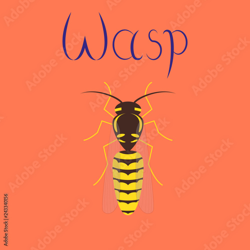 flat illustration on background insect wasp