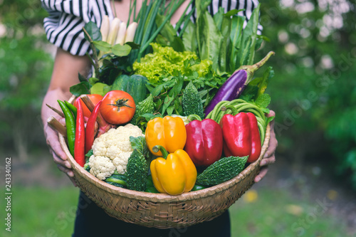 Hands of female holding a Basket with different fresh farm vegetables. Autumn harvest and healthy organic food concept, Over Nature Background