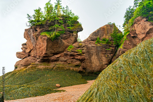 The Bay of Fundy in Canada with the highest tides on earth is one of the natural wonders of the world