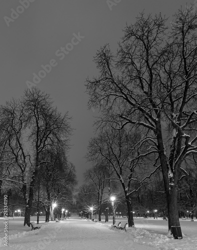 Sofia at winter night: City park (Borisova gradina), Bulgaria photo