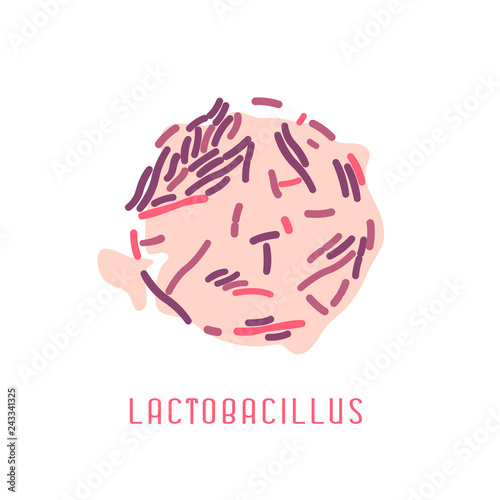 8492077 Lactobacillus Colony Image