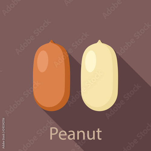Peanut icon. Flat illustration of peanut vector icon for web design