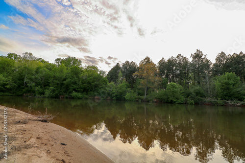 landscape with river and trees