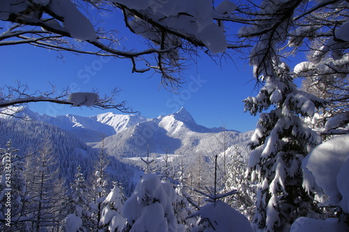 Fototapeta Naklejka Na Ścianę i Meble -  Okno lasu z widokiem na zaśnieżony Giewont