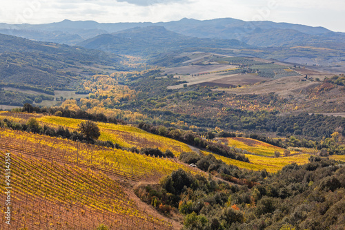 The picturesque autumn Tuscany landscape: valley with yellow vineyards and arable fields on the hills, Italy