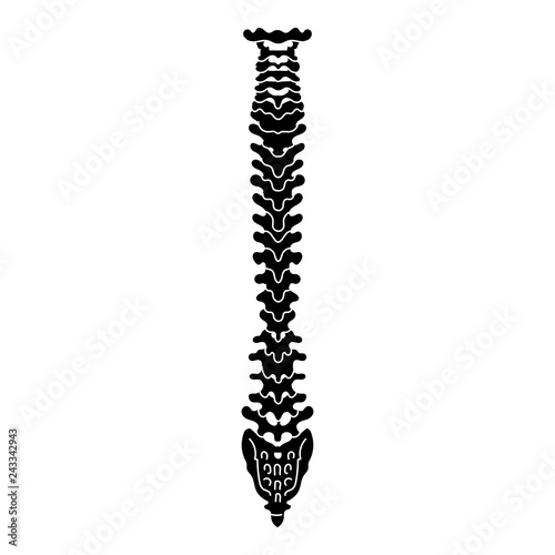 Anatomy spine icon. Simple illustration of anatomy spine vector icon for web design isolated on white background