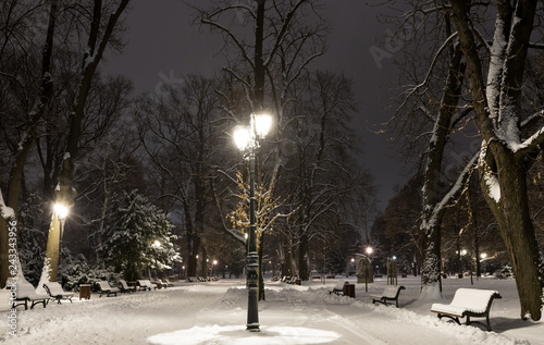 Sofia at winter night: City park (Borisova gradina), Bulgaria photo