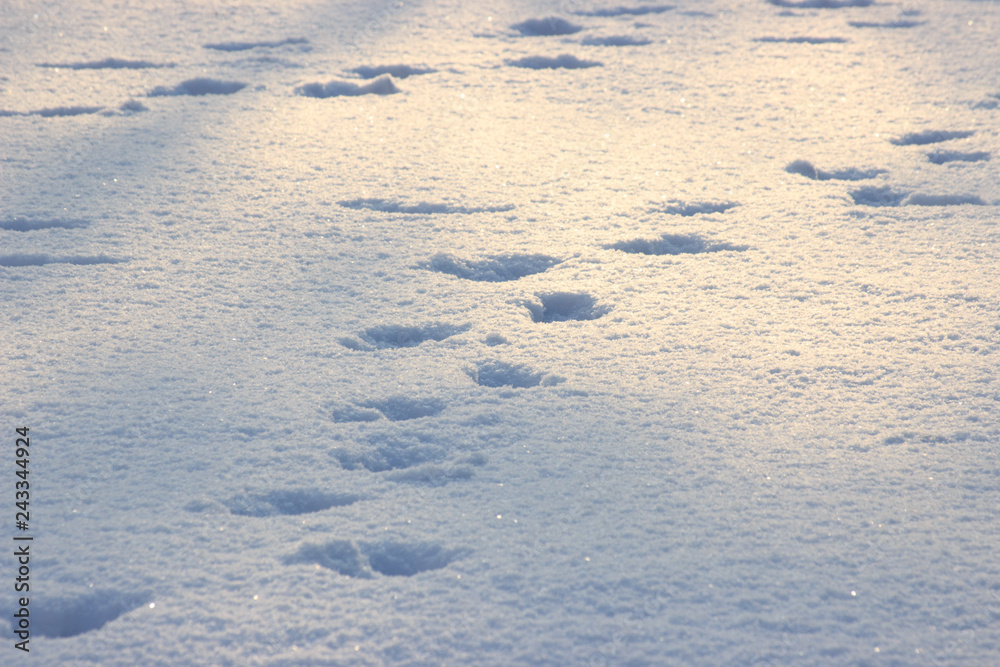 two human steps in the snow on a Sunny day, frosty walk on the freshly fallen snow. Shine of snow in the sun on a frosty day two human steps in the snow on a Sunny day, frosty walk on the freshly fallen snow. Shine of snow in the sun on a frosty day