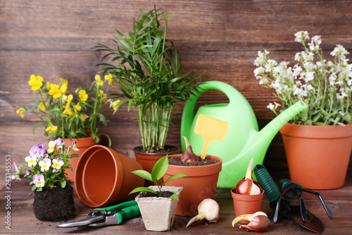 Garden tools with flowers in pots on brown wooden table