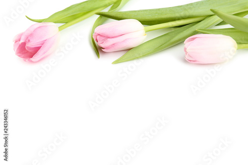 Fototapeta Naklejka Na Ścianę i Meble -  Bouquet of pink tulips on white background
