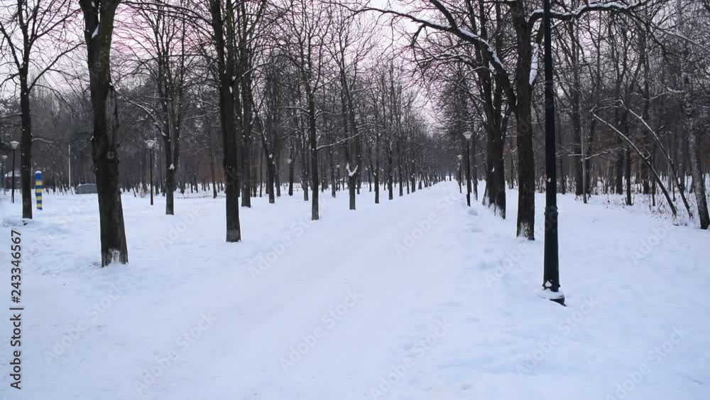 View of the road in the winter fairy-tale Park of the city.