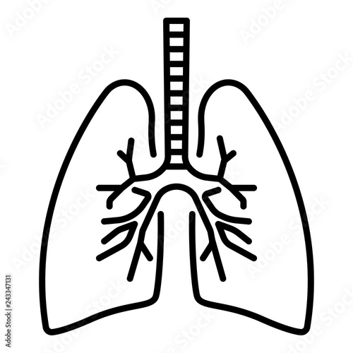 Lungs icon. Outline lungs vector icon for web design isolated on white background