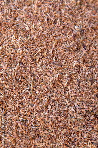 Closeup of the tea on the m...