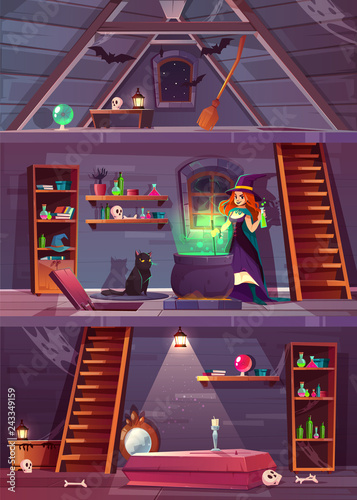 Vector cross section of witch house with cellar and attic. Pretty sorceress with stuff for magic, cat and cauldron. Basement with coffin and bones. Garret with bats, broom. Game background for quest.