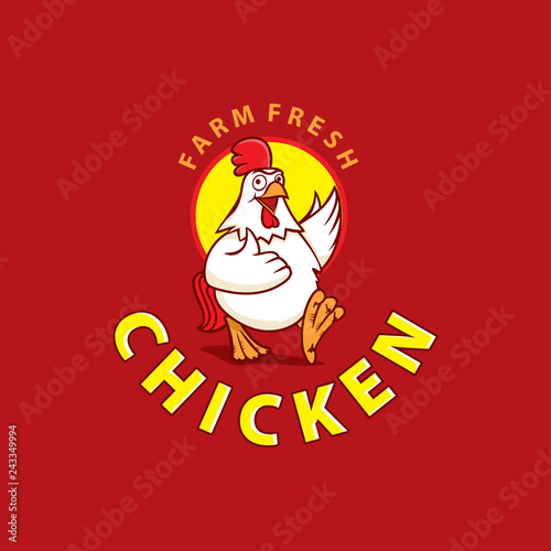 Fried Chicken Vector
