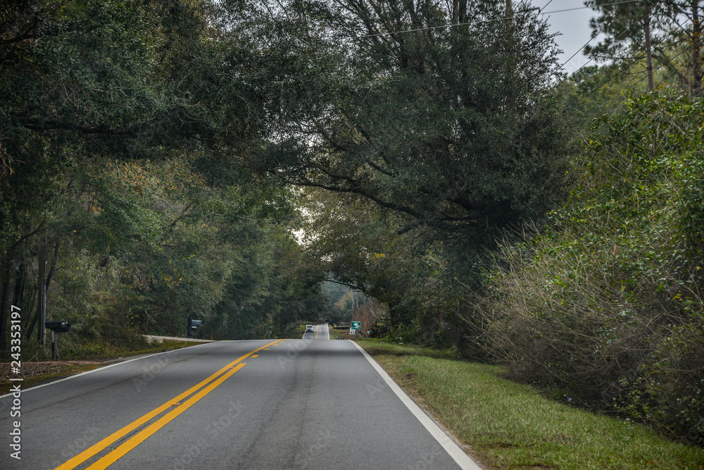 Obraz premium Back Road