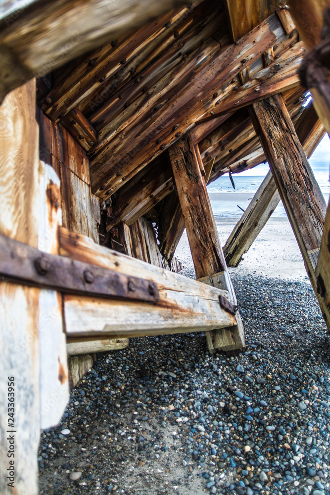 Obraz premium The boat