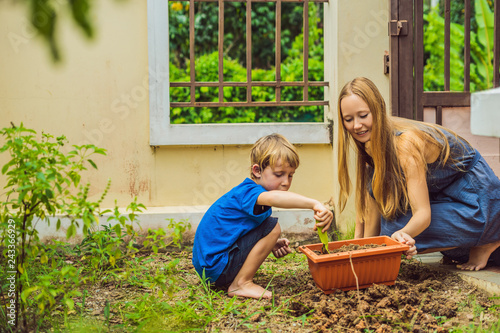 Beautiful young woman and her cute son planting seedlings in bed in the domestic garden at summer day. Garden tools, gloves and watering can outdoors. Gardening activity with little kid and family photo