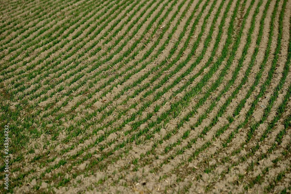 tractors sowing and working fields in the province of alava (the Basque country) tractors sowing and working fields in the province of alava (the Basque country)