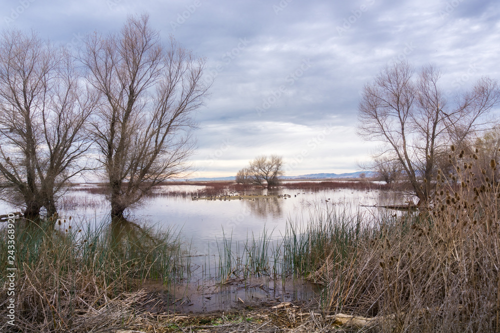 Restored ponds and marshes in Sacramento National Wildlife Refuge on a cloudy day, California Restored ponds and marshes in Sacramento National Wildlife Refuge on a cloudy day, California