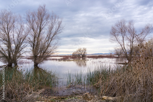 Restored ponds and marshes in Sacramento National Wildlife Refuge on a cloudy day  California