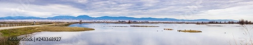 Panoramic view of the ponds of Sacramento National Wildlife Refuge, California