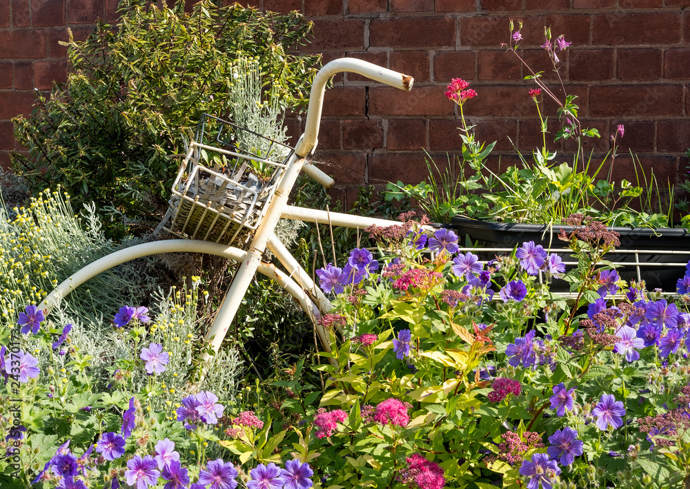 Old bicycle in a summer flower garden